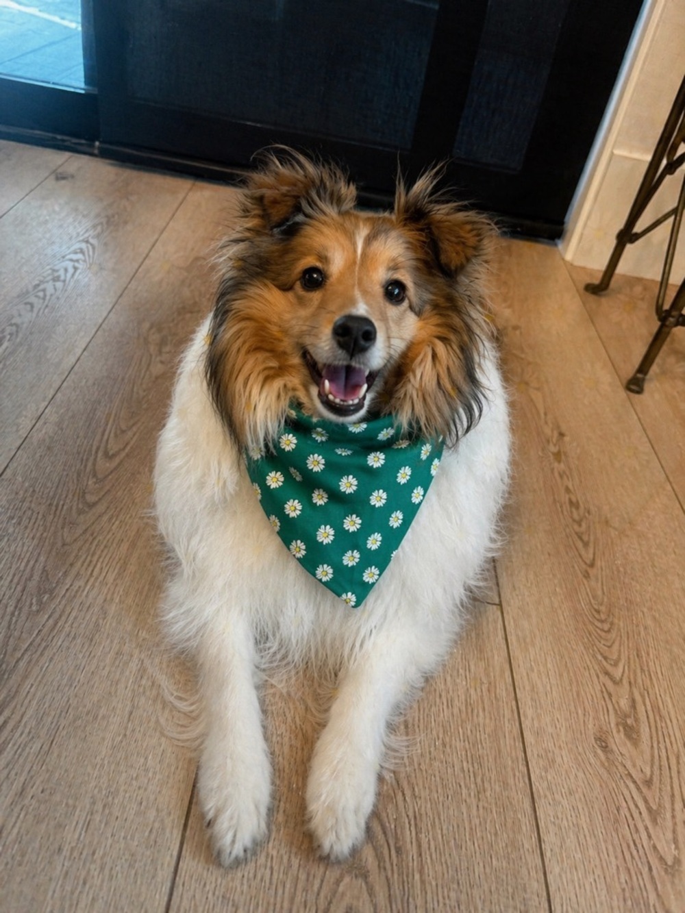 Spring Flowers Scrunchie Dog Bandana Collar - Size Chart in Photos